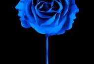 我知道谁杀了我