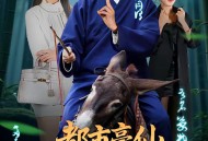 都市豪仙，这个赘婿有点无敌