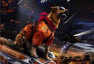 神犬小七第三季MP4格式