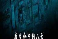 我生命中的八天