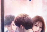 与晨同光MP4格式