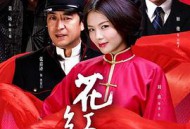 花红花火MP4格式