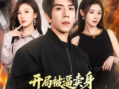 开局被逼卖身，退役战神软饭硬吃