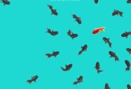 明月的暑期日记