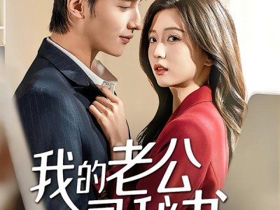 我的老公是秘书