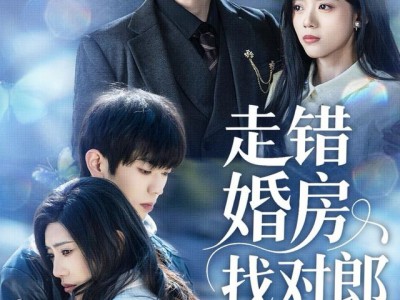 走错婚房找对郎