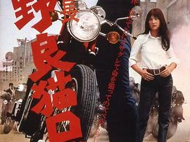 野良猫洛克：女番长