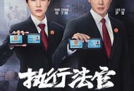 执行法官MP4格式