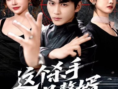 这个杀手是赘婿