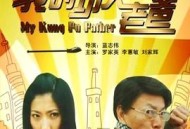 我的功夫老爸