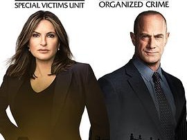 法律与秩序：组织犯罪第二季