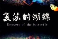 复苏的蝴蝶