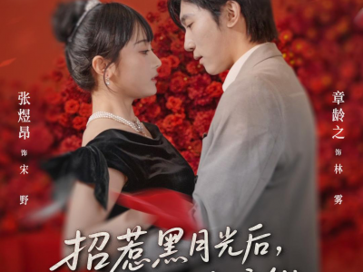 招惹黑月光后，我被一味偏纵