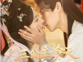 三公主今天成亲了吗