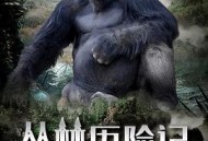 丛林历险记2020
