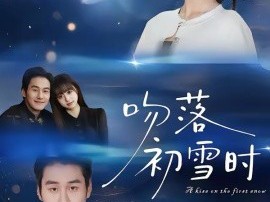吻落初雪时