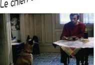 米歇尔先生的狗