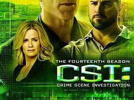 犯罪现场调查 第十四季