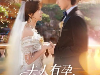 夫人有孕，高冷先生霸道宠