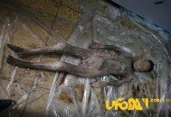 震惊国民：明代古墓女尸光鲜如活人之谜_灵异鬼话_UFO发现网