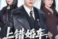 上错婚车，错娶绝色千金