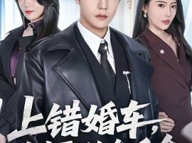 上错婚车，错娶绝色千金