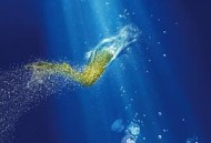 傻傻爱你，傻傻爱我