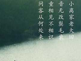 客从何处来第一季MP4格式