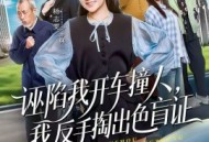 诬陷我开车撞人，我反手掏出色盲证