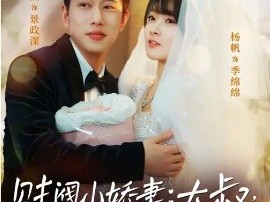 财阀小娇妻：大叔，蓄谋已久日日哄