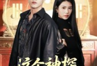 这个神探有点怪