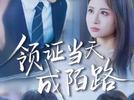 领证当天成陌路