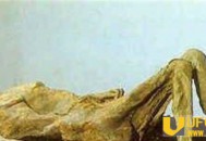 特灵娜冰墙中存活千年 产下活婴重达14斤堪称奇迹_灵异鬼话_UFO发现网