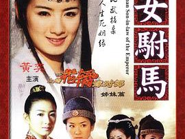 新女驸马MP4格式