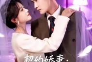 契约娇妻：总裁的独家偏爱