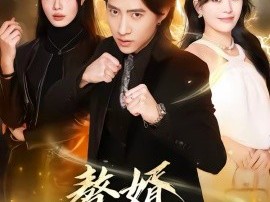 赘婿他过分强大