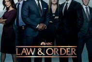 法律与秩序第二十二季