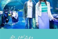 我还是觉得不妥