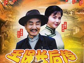 王保长后传MP4格式