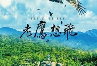 老鹰想飞