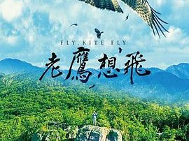 老鹰想飞