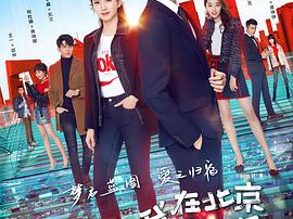 我在北京等你MP4格式