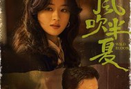 风吹半夏MP4格式