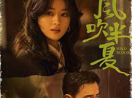 风吹半夏MP4格式