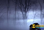 孤魂野鬼游荡的夜晚 惊魂恐怖槐树林_灵异鬼话_UFO发现网