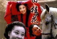 皇嫂田桂花MP4格式