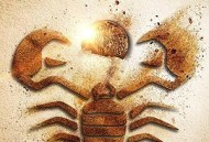 蝎子王5：灵魂之书