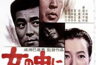 女人中的陌生人1966