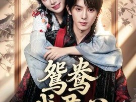 鸳鸯戏君心