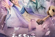 惹不起的殿下大人MP4格式